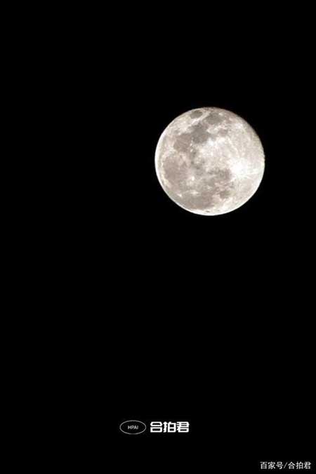 今晚的月亮很美下一句情话怎么说